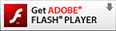 Flash Player Plug-in