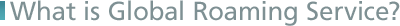 What is Global Roaming Service?