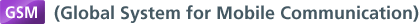 GSM (Global System for Mobile Communication)