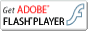 Get ADOBE FLASH PLAYER