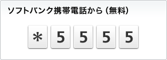 �\�t�g�o���N�g�ѓd�b����i�����j *5555